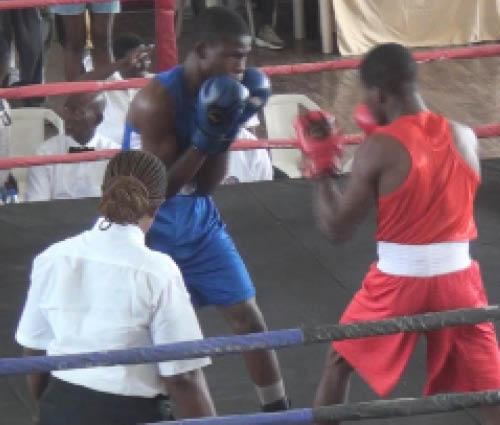 Action Recorded At The Revived Lagos Boxing Hall Of Fame Lbhf Championship Action Recorded At The Revived Lagos Boxing Hall Of Fame Lbhf Championship
