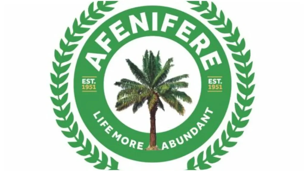 Afenifere 1