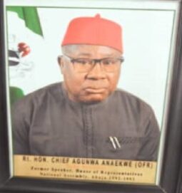 Agunwa Anekwe 3 255X271 1