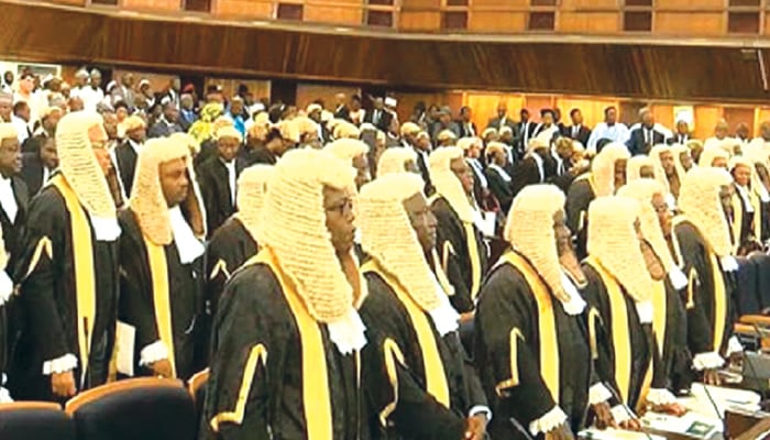 Cross Section Of Judges