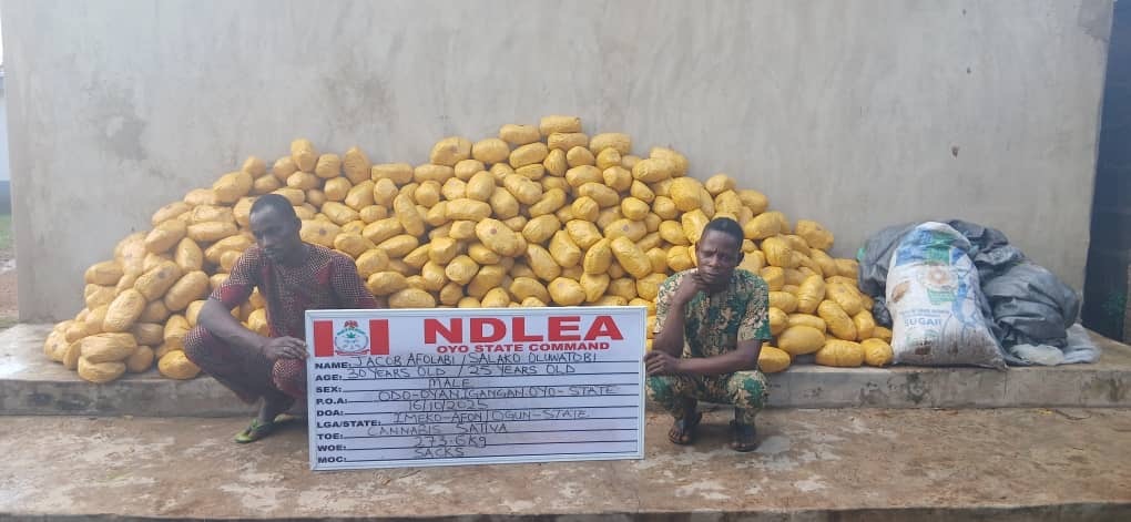 Drug Trafficking