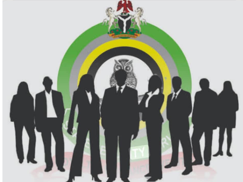 Dss Logo