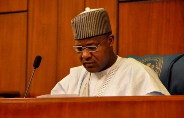 Dogara0 620X400 1