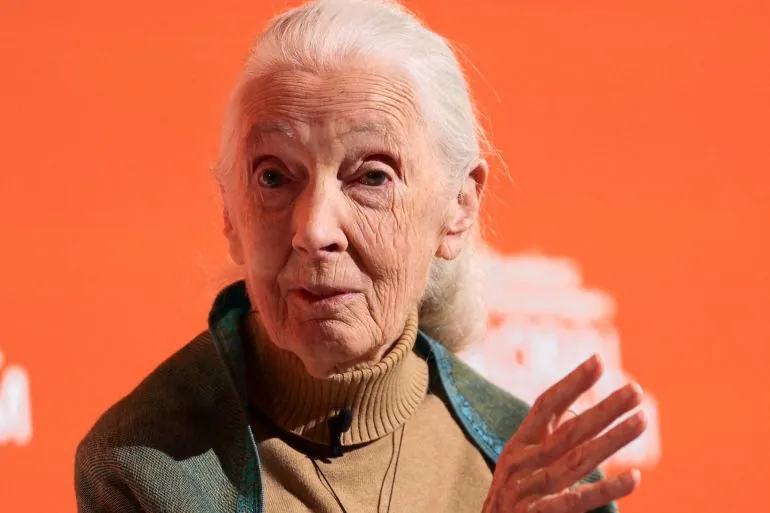 Dr. Jane Goodall The World Renowned Primatologist Anthropologist And Conservationist