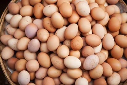 Eggs 1