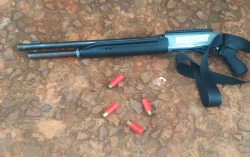 Fb Img 1761723849380 500X315 1 Fb Img 1761723849380 500X315 1