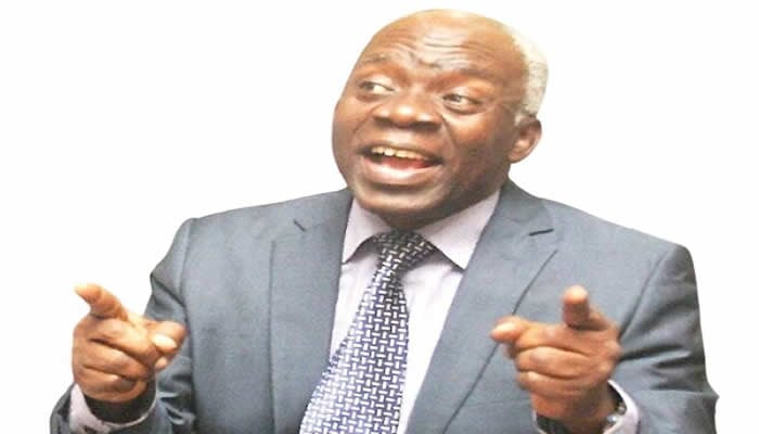 Femi Falana 2
