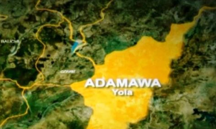 Fg Probes Outbreak Of Strange Flesh Eating Disease In Adamawa