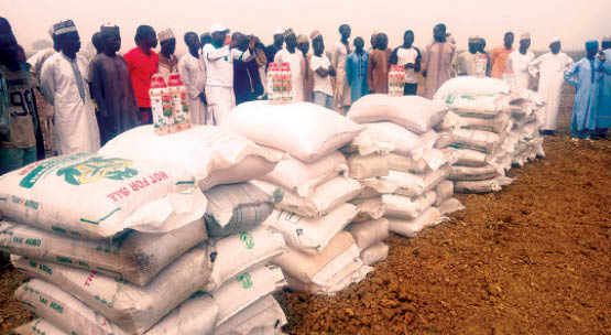 Fertilizer Improved Seeds And Items During Distribution Yesterday In Warji