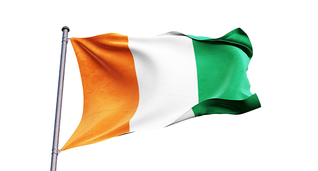 Flag Of Ireland Flag Of Ireland