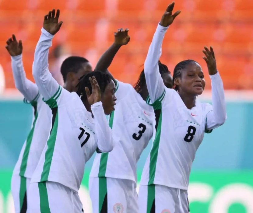 Flamingos Of Nigeria