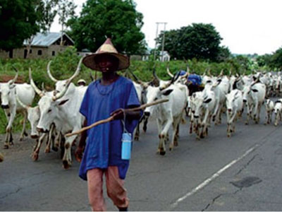 Fulani Herdsmen Fulani Herdsmen