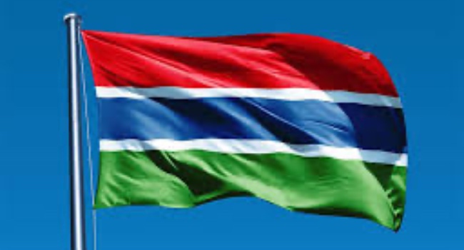 Gambia Flag