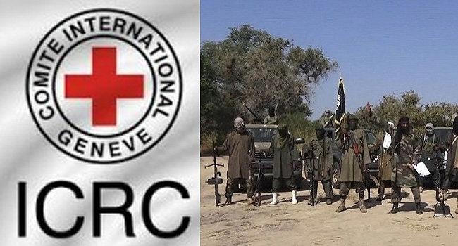 Icrc Boko Haram