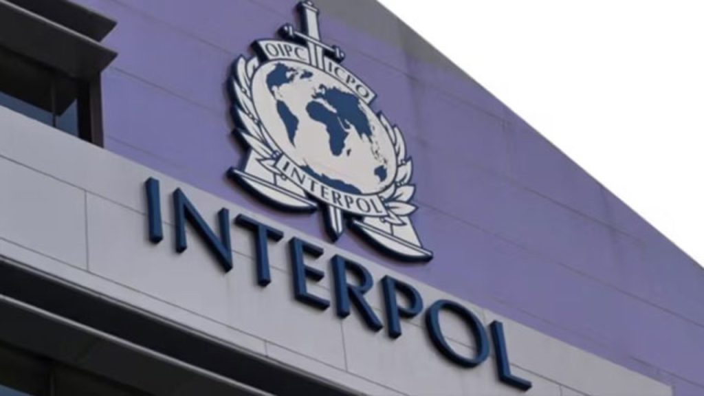 Interpol 2 Interpol 2
