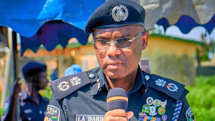 Kano Police Commissioner