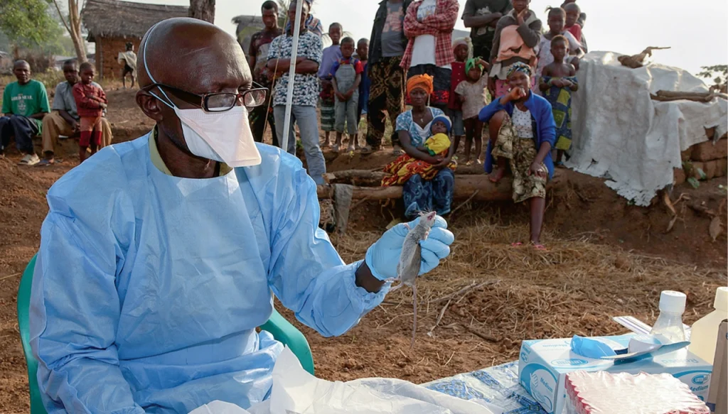 Lassa Fever