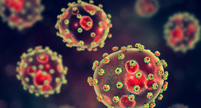 Lassa Fever 4