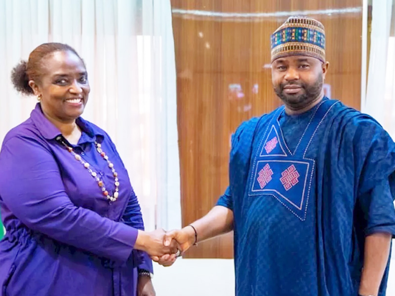 Mary Baine And Adedeji