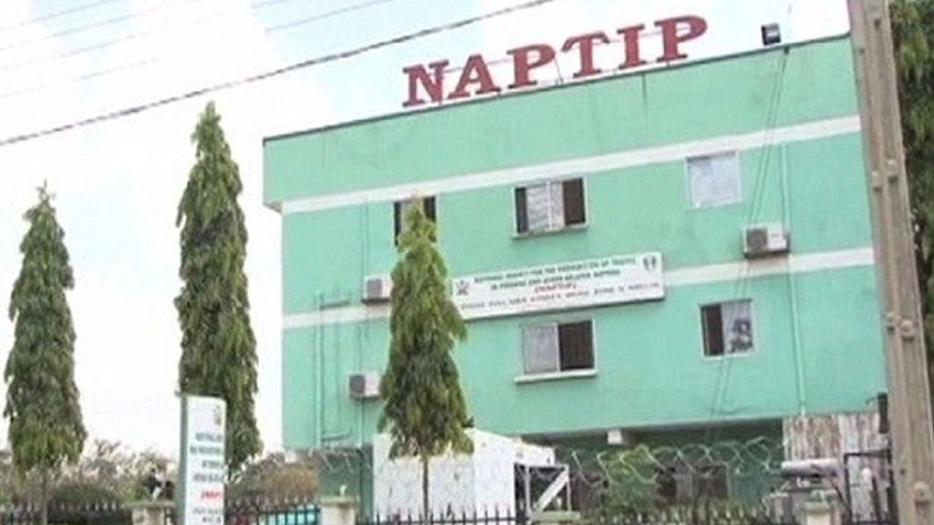 Naptip 2
