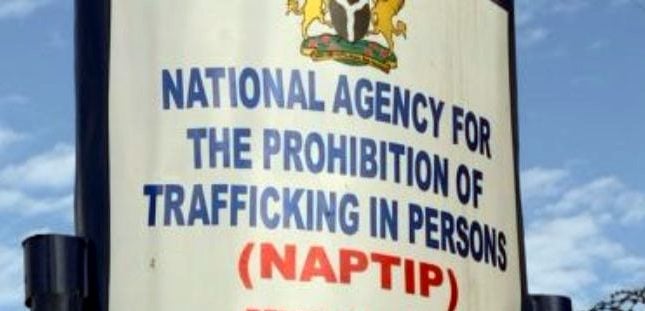 Naptip Logo 696X391 1