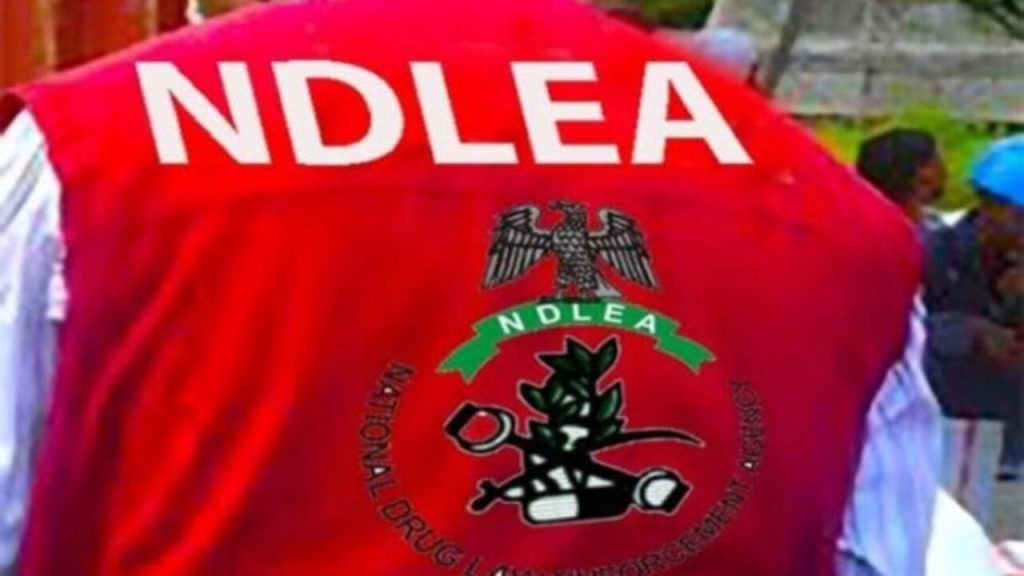 Ndlea 1