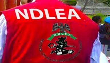 Ndlea 1