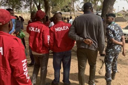 Ndlea 510X340 1 Ndlea 510X340 1