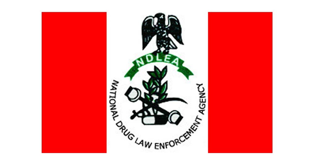 Ndlea Logo New Ndlea Logo New