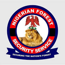 Nfss