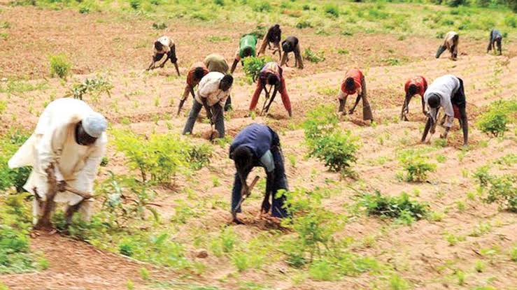 Nscdc Army Police Foil Repeated Attacks In Plateau Over 4000 Farmers Displaced 1