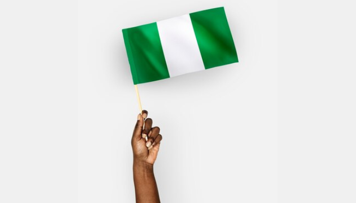 Nigeria Flag Democracy