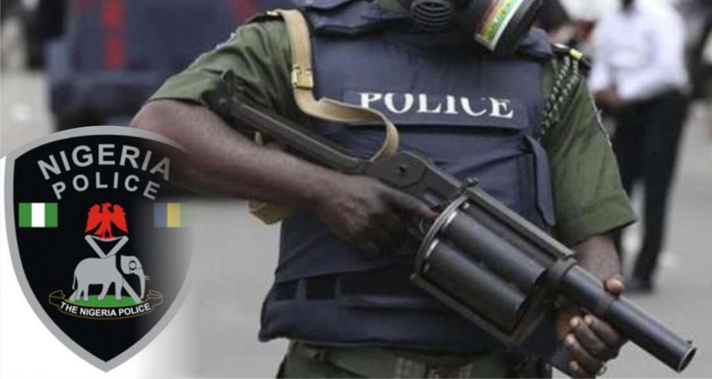 Nigerian Police Force 1