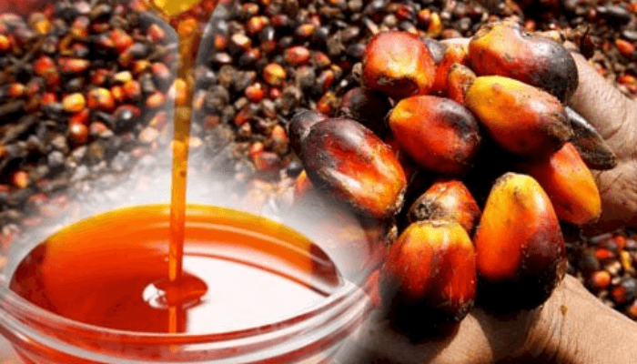Palm Oil