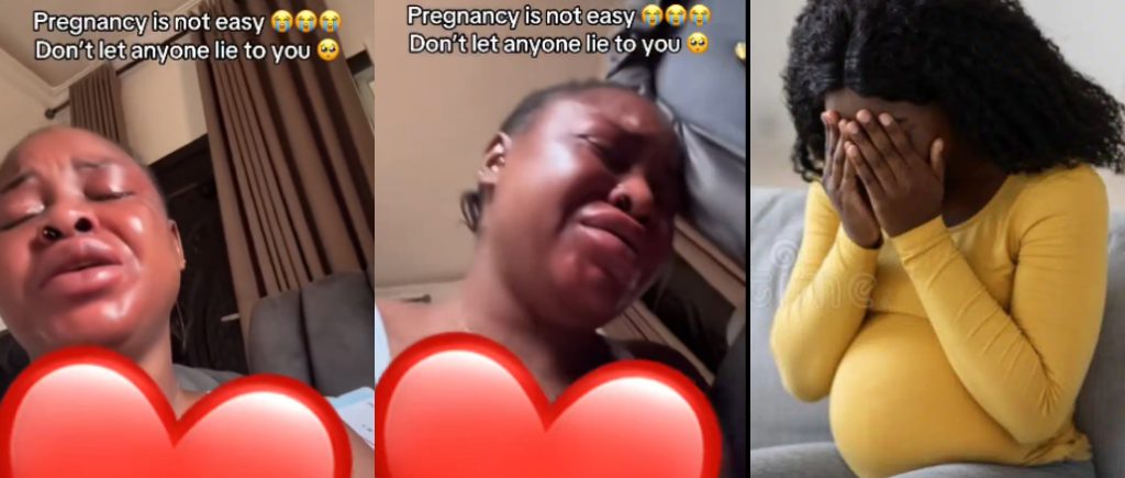 Pregnant Lady 1