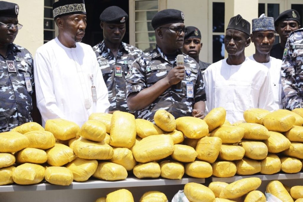 Recovered Suspected Canabis 1045X696 1