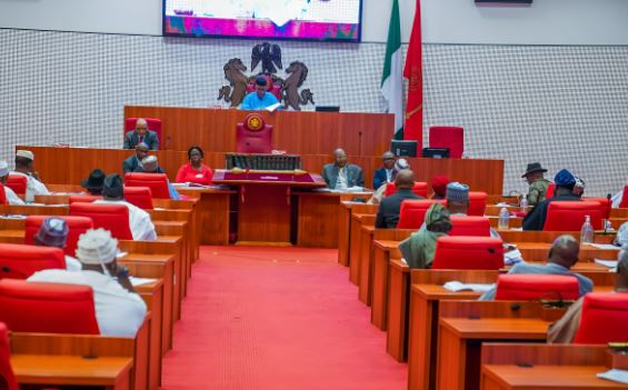 Senate 3