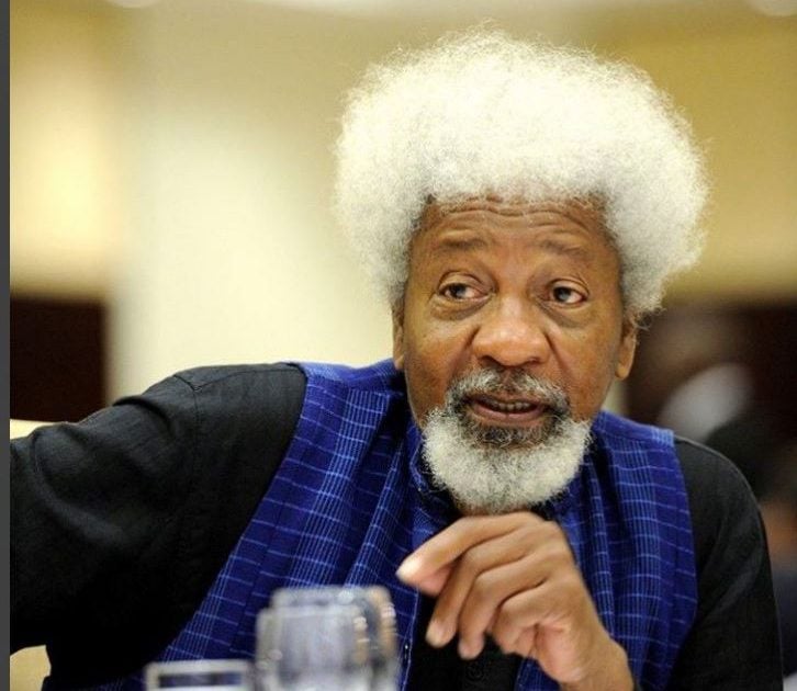 Soyinka E1720917823836 726X630 1 Soyinka E1720917823836 726X630 1