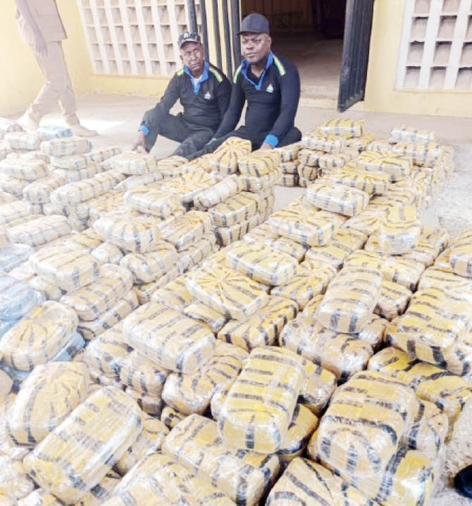 The Suspects With Subsatances Suspected To Be Cannabis