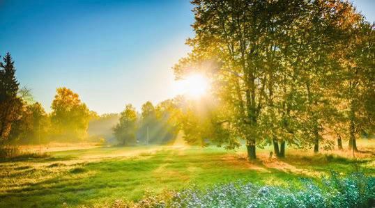 Whatsapp Image 2022 11 09 At 11.17.26 Pm Whatsapp Image 2022 11 09 At 11.17.26 Pm