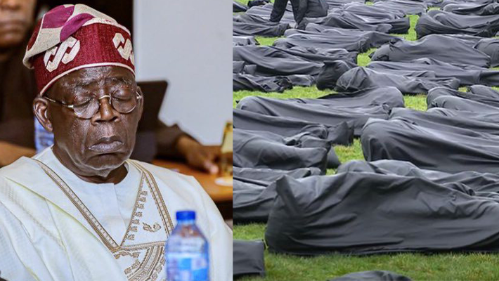 Body Bags In Plateau