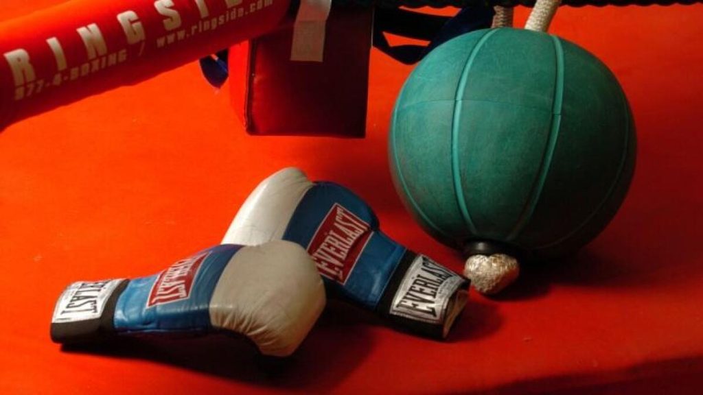 Boxing Gloves Generic