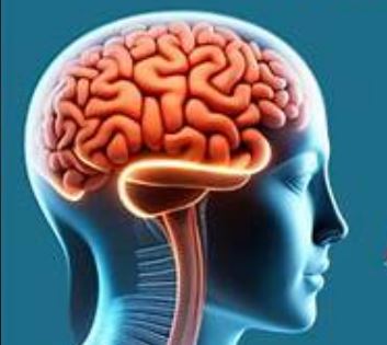 Brain Drain Brain Drain