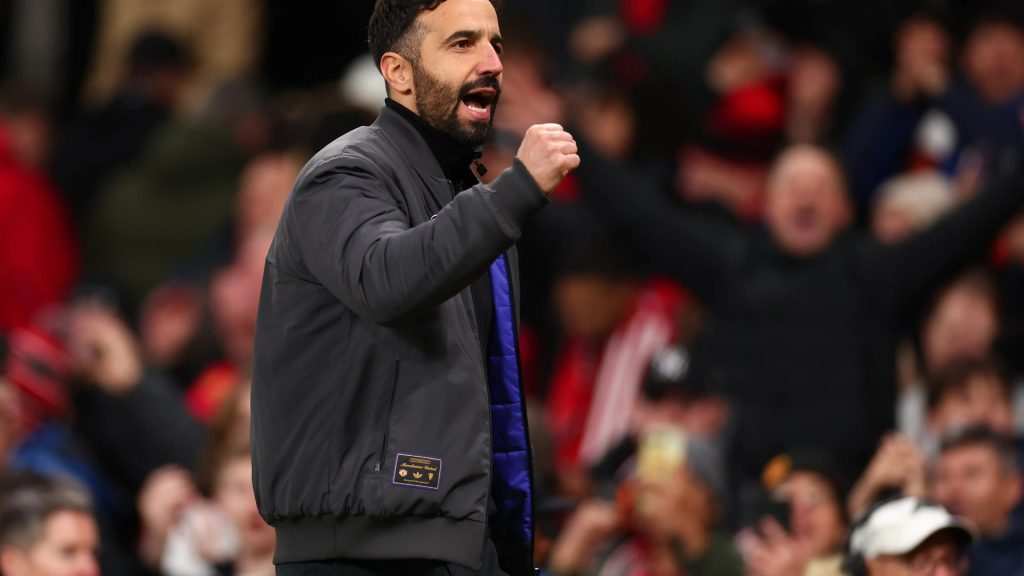 Crop 3692041 Crop 3692041