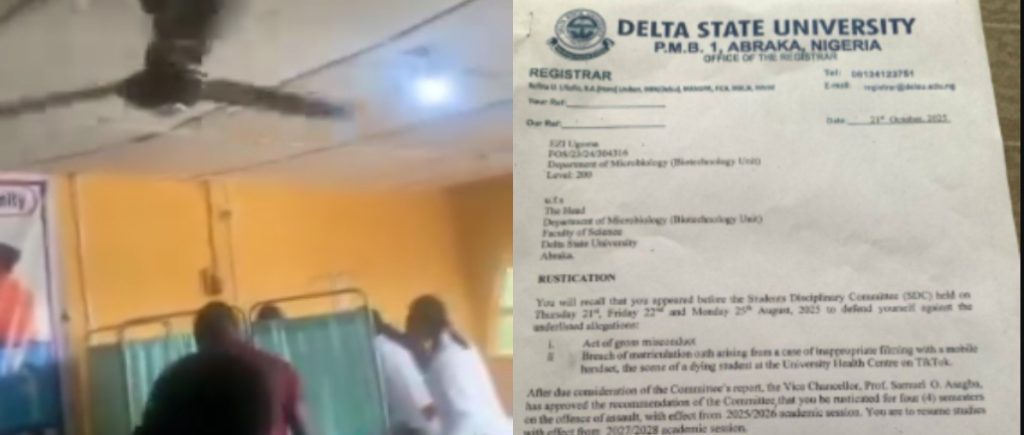 Delsu Rusticatre Delsu Rusticatre