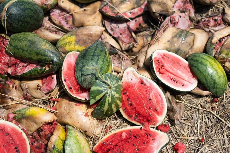 Destroying Watermelon