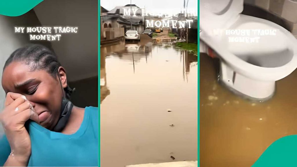 F8B3559Be9Ec2Af5 F8B3559Be9Ec2Af5