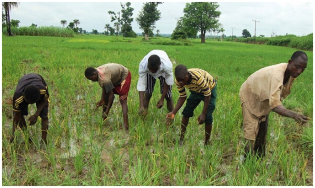 Farmers