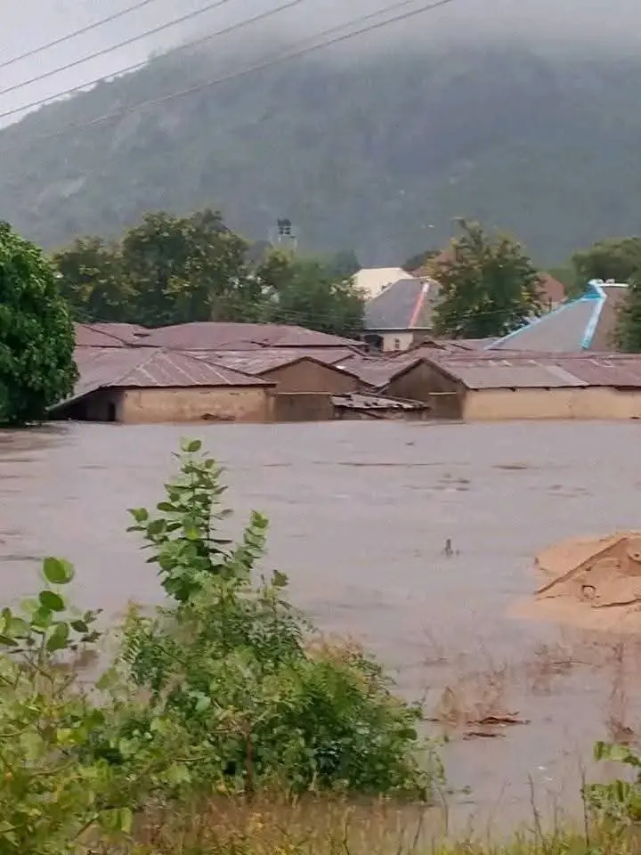 Flood 2