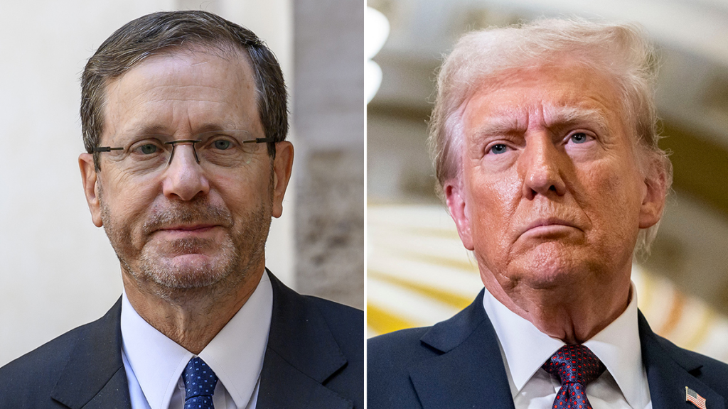 Herzog Trump
